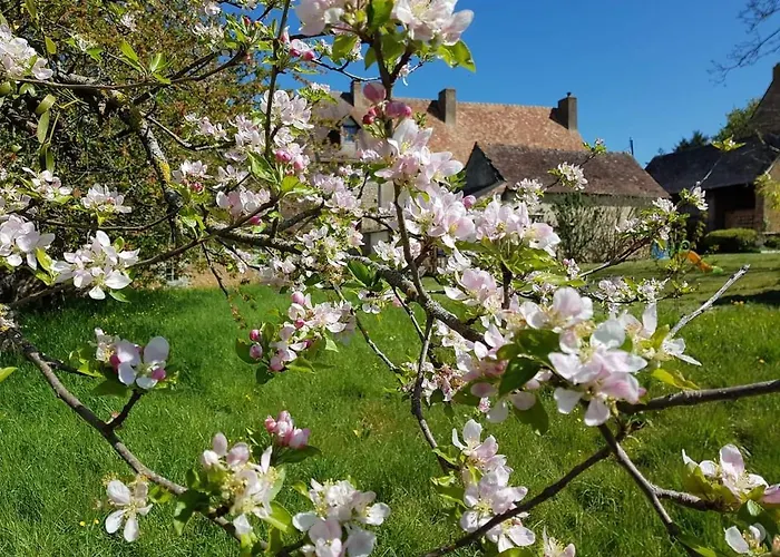 Val De Gee A 20 Mn Du Circuit 24 H Du Mans Ubytování v soukromí Maigne